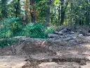 LOT of Approx. 100, 12&#x27; clear cut logs, mainly pine, but some hardwoods