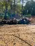 LOT of Approx. 100, 12&#x27; clear cut logs, mainly pine, but some hardwoods