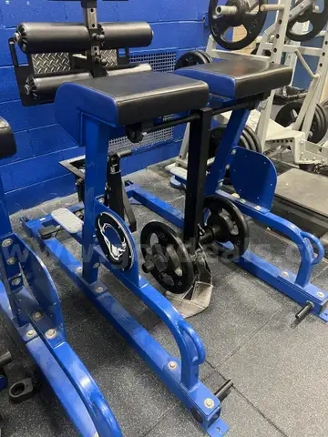 Sorinex Frankenhyper Glute Ham Machine w/ Pendulum #1