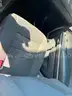 2021 Dodge Charger (2101)