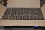 Lot of 171 Libbey drinking glasses