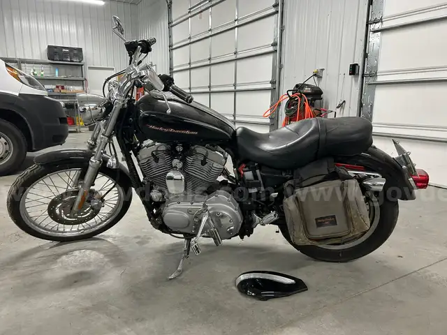 2004 Harley-Davidson XL 883C