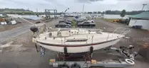 1982 Edel 820 Sailboat