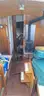 Sailing Vessel Orion