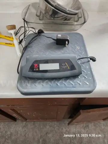 75 kg Ohaus scale