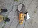 Partner Quick Cut Saw