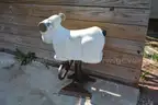 Cast Playground Sheep (12)