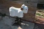 Cast Playground Sheep (12)