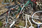 One lot of Bicycles, approx. 25