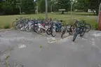 One lot of Bicycles, approx. 25