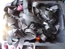 Lot of Straps