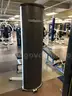 Seated Single Arm Row