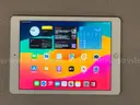 Lot of 1 Apple iPad 6th Generation &#x2013; Wi-Fi only
