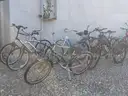 29 Bicycles of Various Brands , Models , Sizes and Conditions