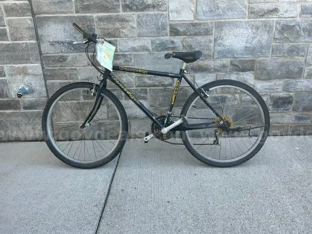 Bicycle