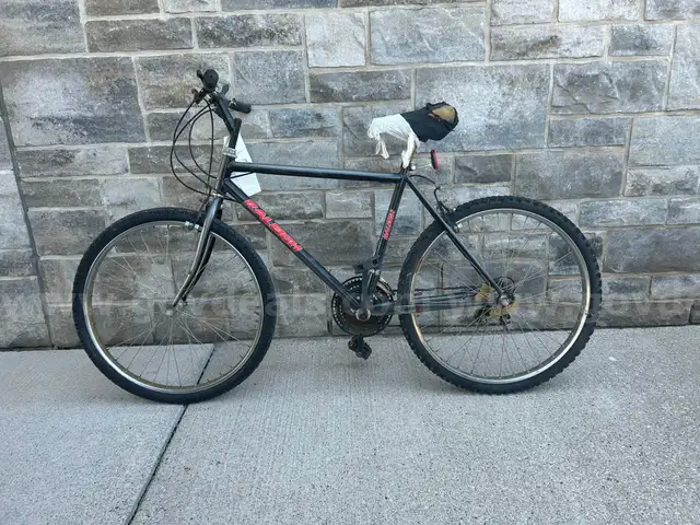 Bicycle