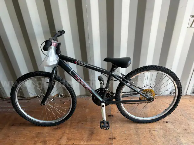 Bicycle