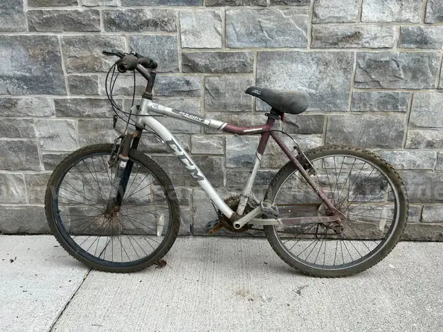 Bicycle
