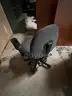 Lot of 9 office chairs