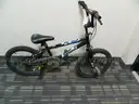 Schwinn and various others lot