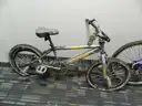 Schwinn and various others lot