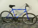 Schwinn and various others lot