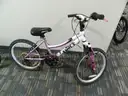 Schwinn and various others lot