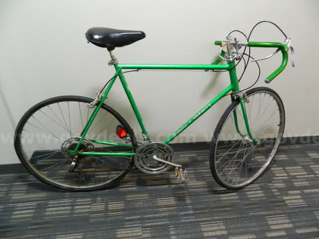 Schwinn and various others lot