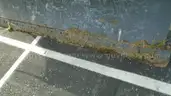 11 ft. Snow Plow