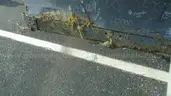 11 ft. Snow Plow
