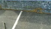 10 ft. Snow Plow