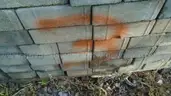 Skid of Pavers