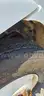 2001 Freightliner FL80