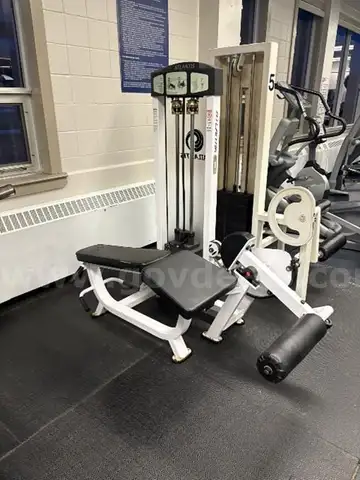 Atlantis Leg Curl C-106