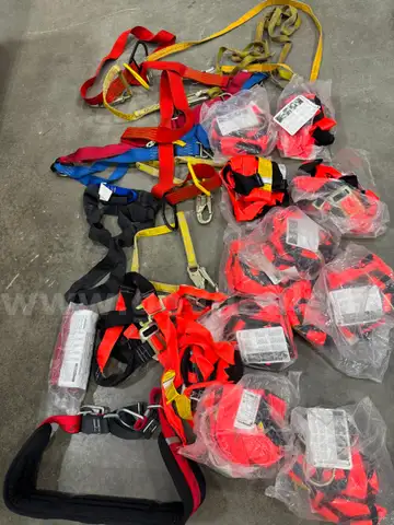 Full body Harness