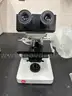 Lot of 16 Microscopes (13 Fisher Scientific, 3 Laborlux)