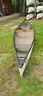 Canoe - Swift Algonquin 16ft Kevlar
