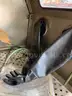 Wet / Dry Sand Blast Cabinet