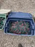 Various Christmas Lights in Totes