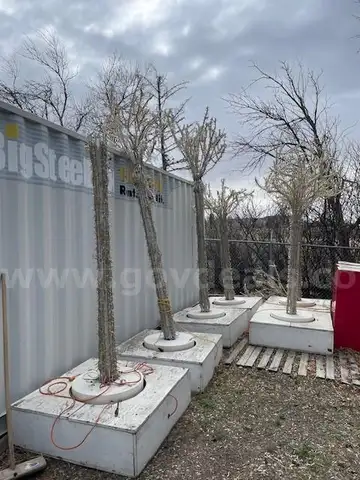 Metal Christmas Trees