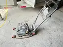 Olympia Edger
