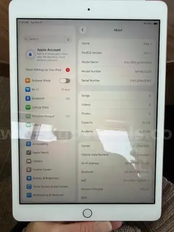 Apple iPad