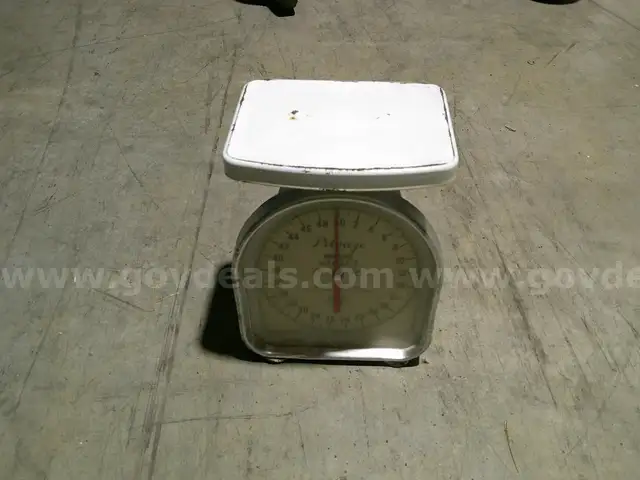 Scale
