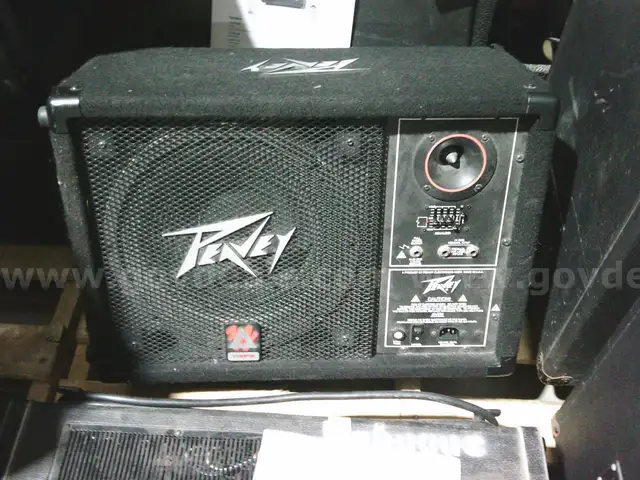 Floor Monitor Speaker