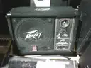 Floor Monitor Speaker