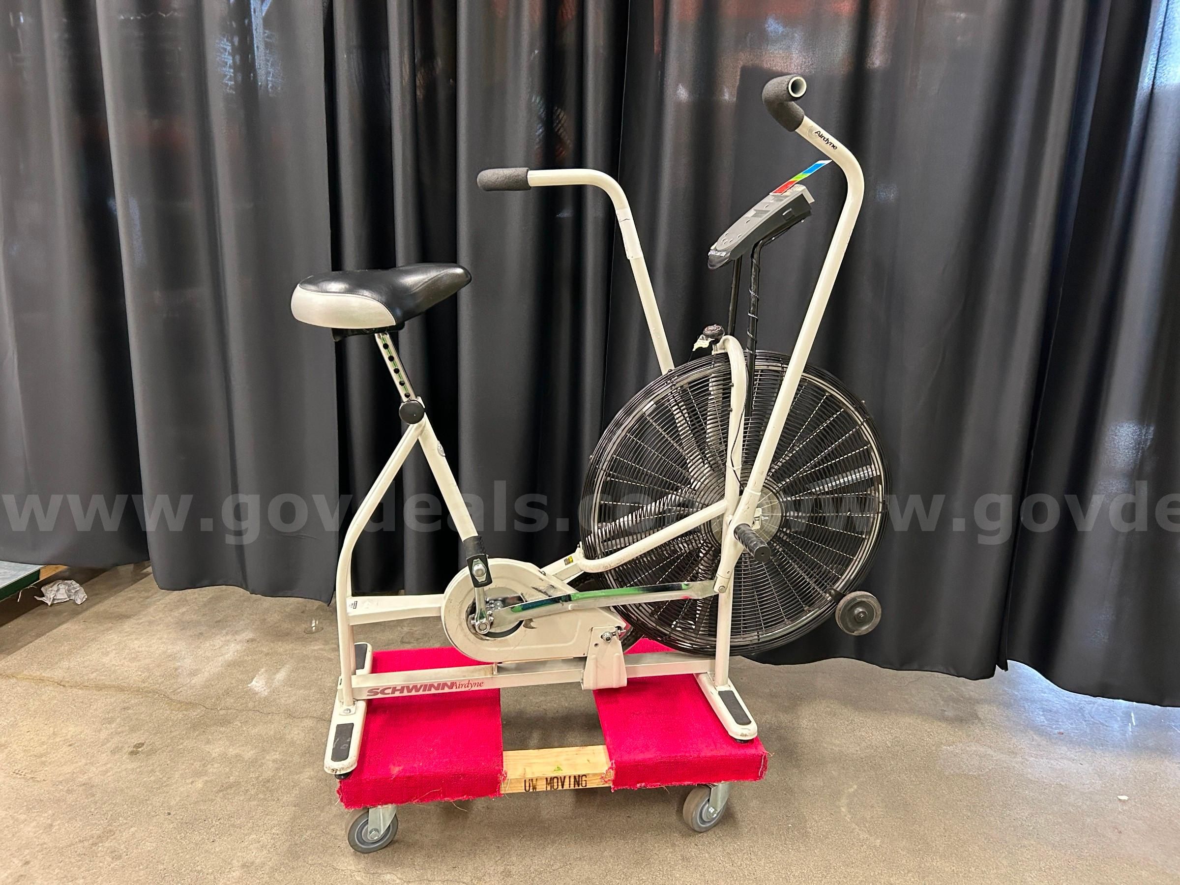 Original schwinn online airdyne