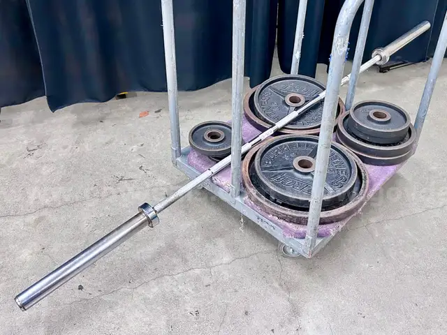 Lot of Troy Weightlifting Equipment (404-37)