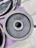 Lot of Troy Weightlifting Equipment (404-37)