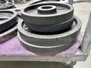 Lot of Troy Weightlifting Equipment (404-37)