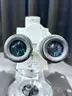 Microscope: Carl Zeiss Axioskop FS (404-51)